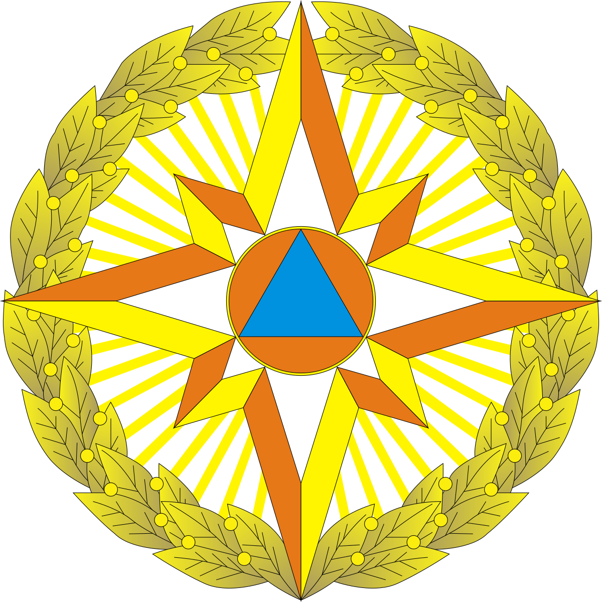 FHN Logo